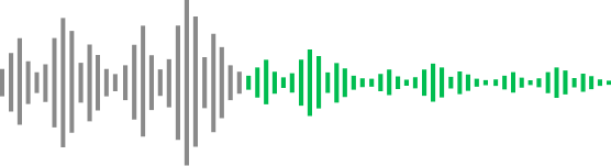 Noise Cancellation