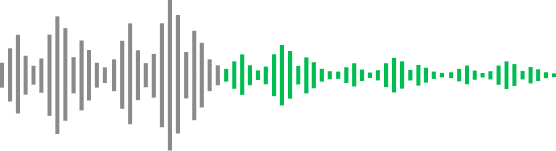 Noise Cancellation