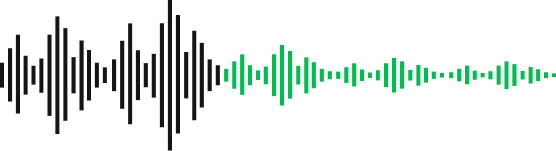 Noise Cancellation