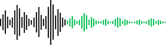 Noise Cancellation